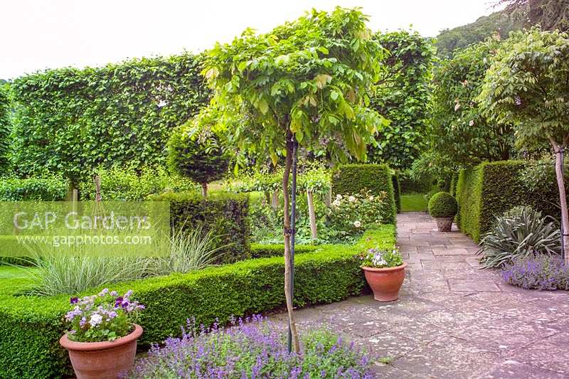 Little Malvern Court, Malvern, Worcs, UK ( Alex Berrington ) paved area outside house with formal hedging and pots