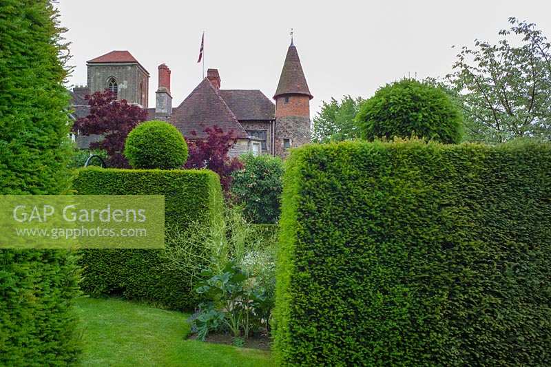 Little Malvern Court, Malvern, Worcs, UK ( Alex Berrington ) Formal Yew hedging around the house