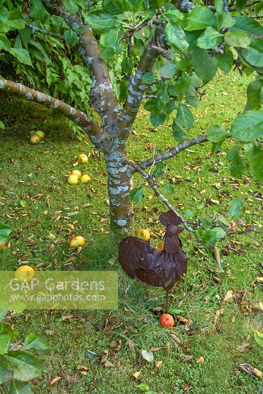 Pinsla Garden, Cornwall, UK. Late summer, ornamental metal 'chicken' beneath apple tree