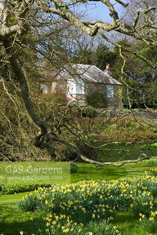 Milton Lodge, Wells, Somerset ( Tudway-Quilter ) spring garden with fine views