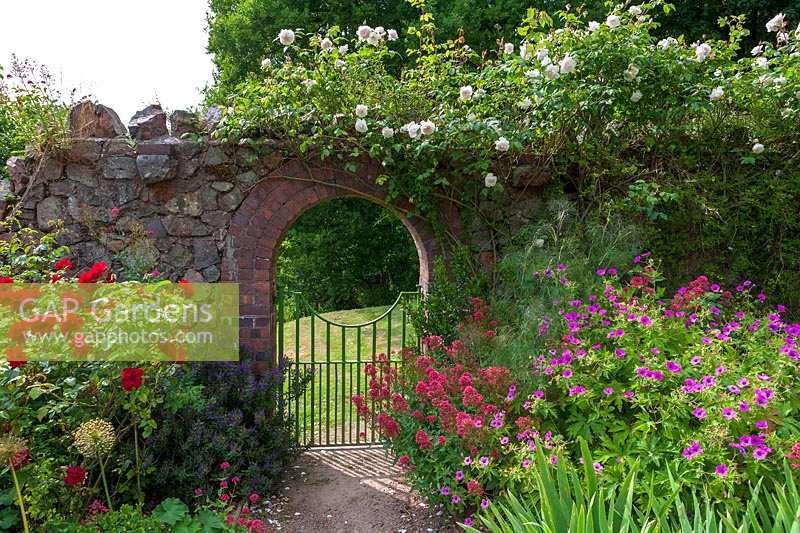 Perrycroft, Herefordshire. ( Archer ) informal summer borders with Valerian and Roses, view through gateway,( PR available )