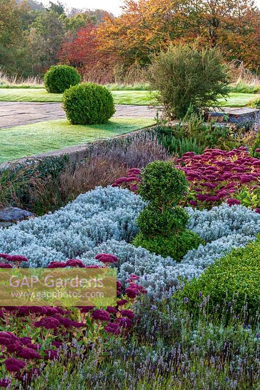 Perrycroft, Herefordshire. ( Archer ) small sunken geometric parterre garden with clipped hedges and Sedum,( PR available )