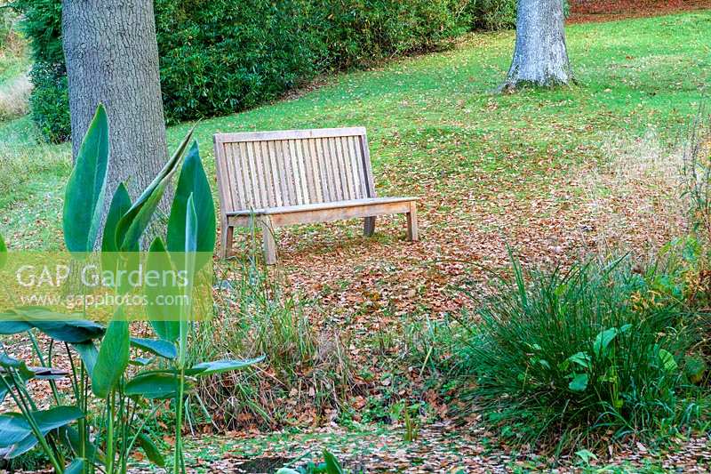 Perrycroft, Herefordshire. ( Archer ) bench in woodland garden,( PR available )