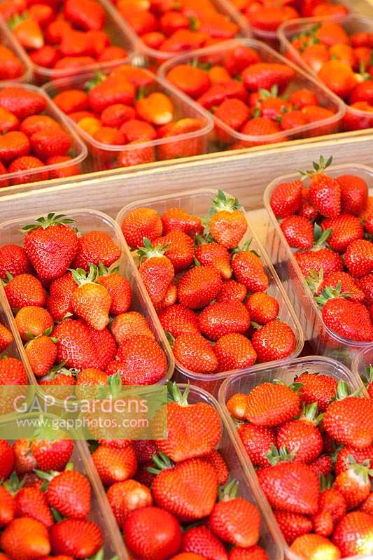 Strawberries for sale in street market stall, France.