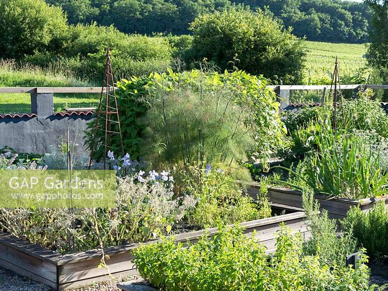 The vegetable gardens at Chateau Rigaud, Bordeaux, France