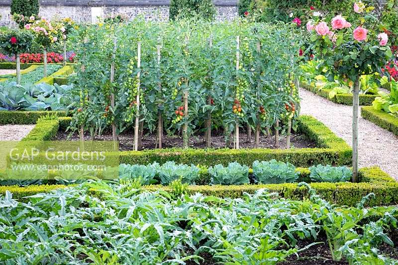 Chateau Villandry, Loire Valley, France, the famous vegetable knot garden and parterre