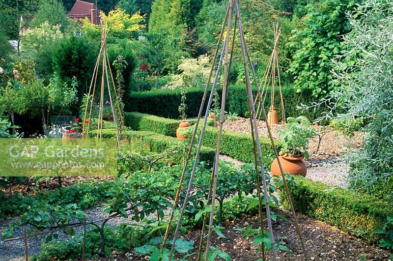 Alan Tichmarsh's garden Hampshire Formal vegetable garden with paths and boxwood hedges Step over apples Runner bean tripods