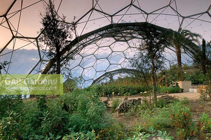 The Eden Project Cornwall Temperate Bio Dome