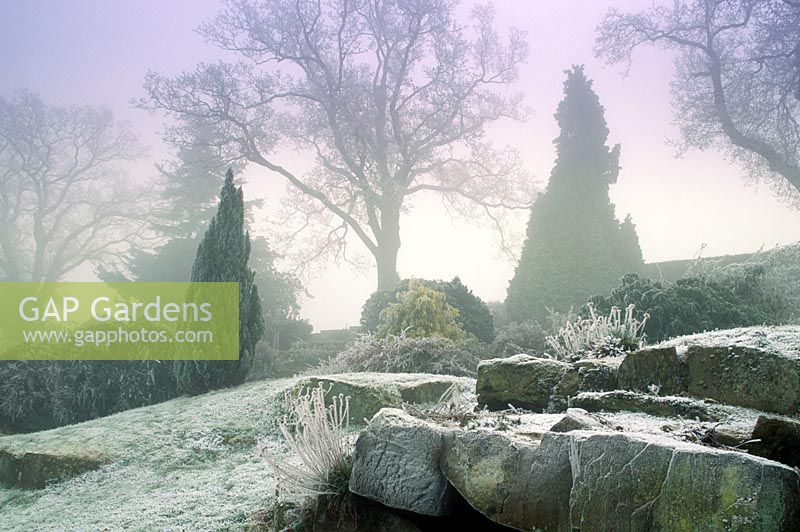 RHS Wisley Surrey Conifers and rock garden covered in winter frost