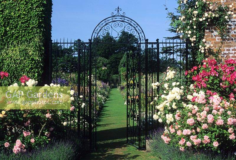Helmingham Hall Suffolk wrought iron gates with roses leading to walled garden with double herbaceous borders and grass path