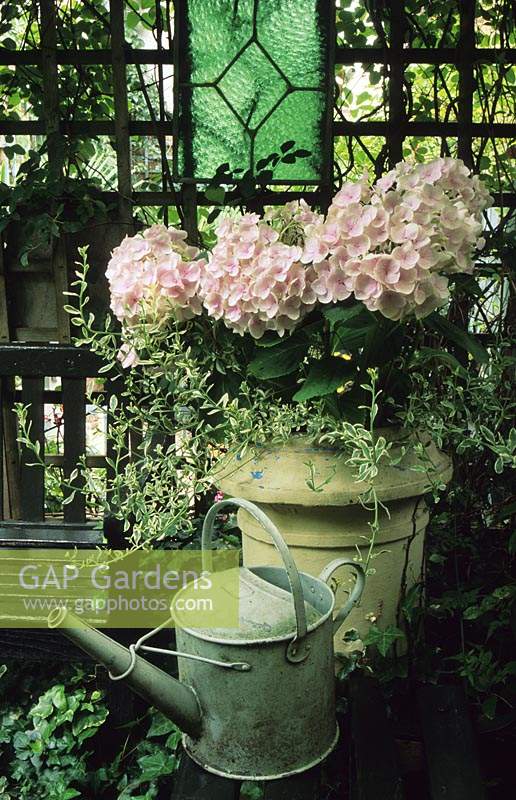 private garden London Design Jonathan Baillie Old chimney pot use recycled container Hydrangea