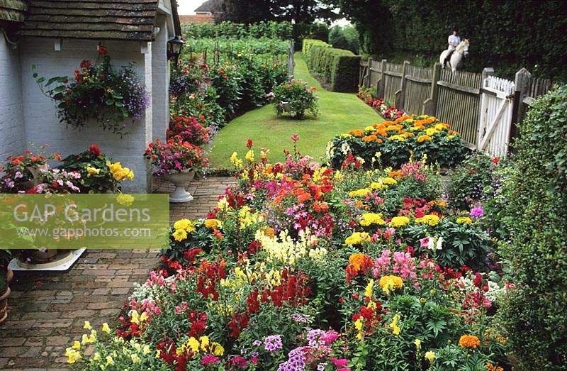 Pond Cottage Surrey bed of summer flowering annuals including snap dragons summer flower annual mixed seed