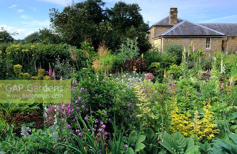 West Lodge South Sussex cottage garden with mixed panting of annuals perennials and shrubs