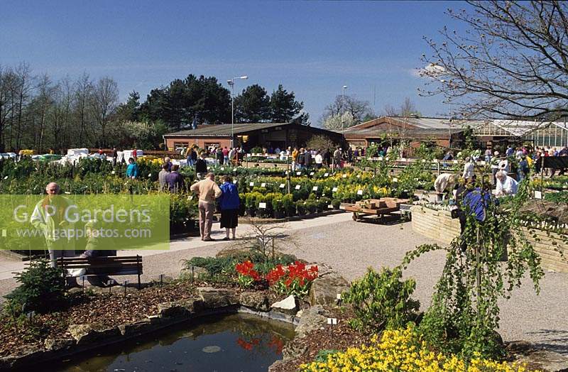 Bridgemere Garden World Staffordshire garden centre with people shopping for plants