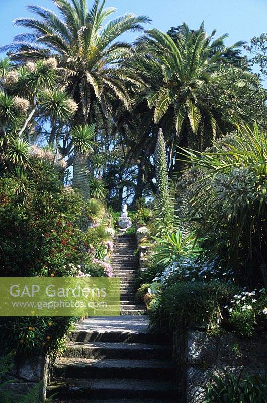 Tresco Abbey gardens Isles of Scilly the Neptune steps with exotic tender trees and plants garden plant combination