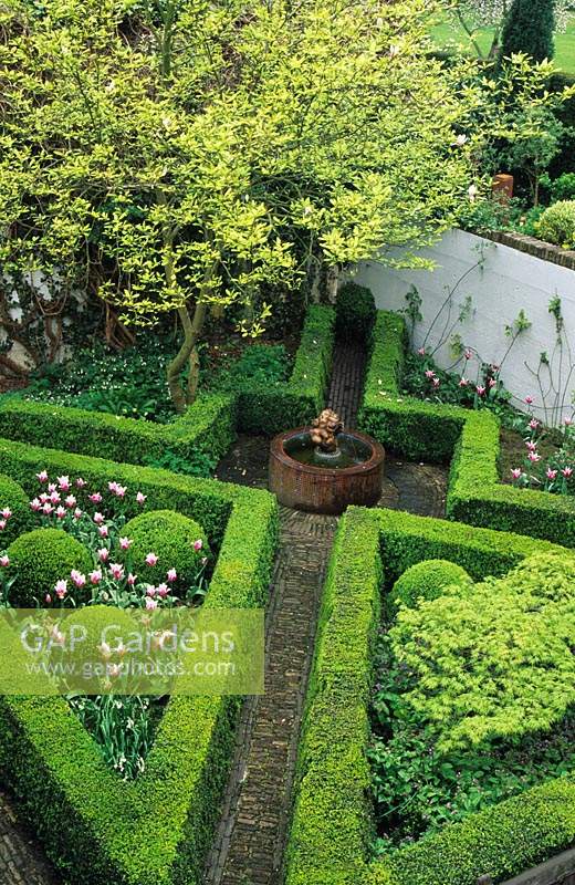private garden Maarsen Holland Small walled garden in Spring with cross paths boxwood hedges small tree and Tulipa Ballade