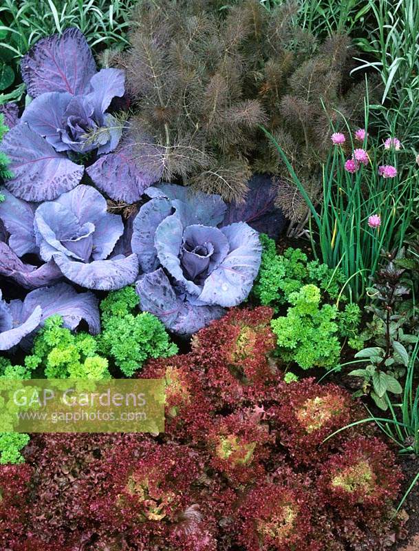 Chelsea Flower Show 1994 design Rupert Golby kitchen vegetable garden detail cabbages lettuce fennel