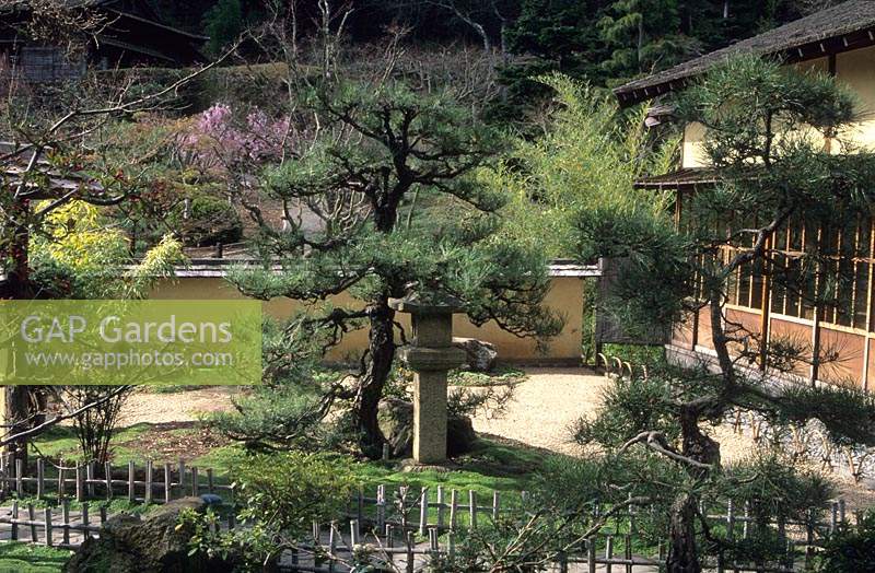 Hakone Saratoga California Japanese garden The Zen garden with moss statue Pine and low bamboo railings