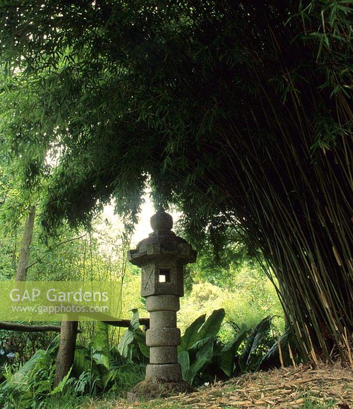 Japanese wind temple statue with bamboo Sinarundinaria murielae