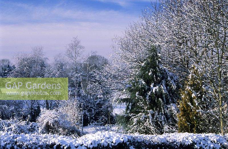 Fairfield Surrey country gardens in winter snow
