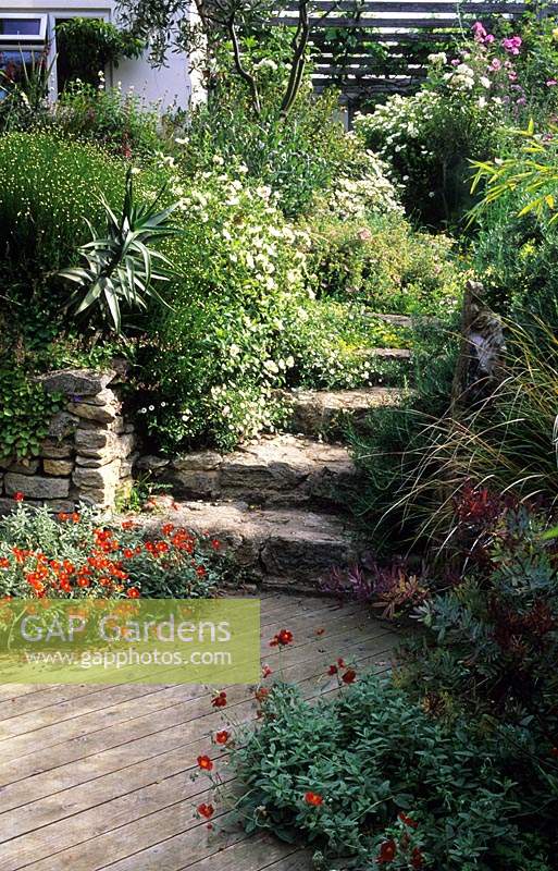 Brownshill Gloucestershire design Pamela Woods very sloping terraced garden stone steps wooden daecking sumer flower borders