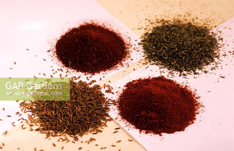 spice still life hot and mild curry powder cummin seeds mixed dried herbs on paper