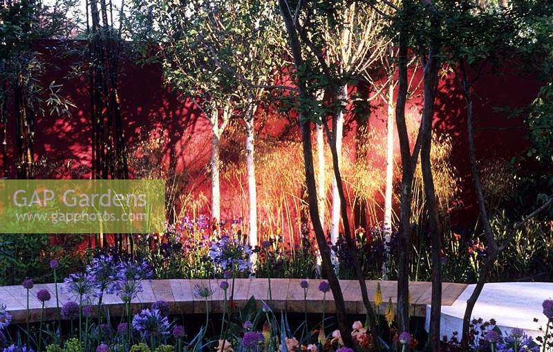 Chelsea flower show 2008 design Cleeve West red orange painted garden wall with white birch trees black bamboo and wooden path