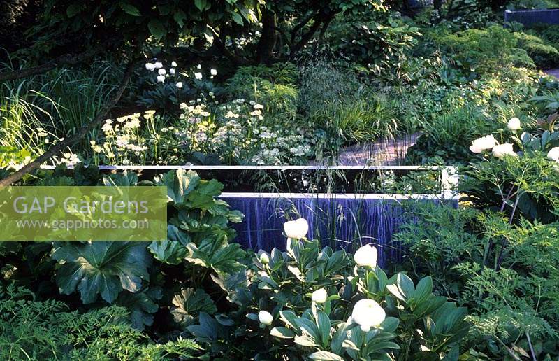 Chelsea flower show 2008 design Tom Stuart Smith green and white contemporary modern minimal garden with rectangular water