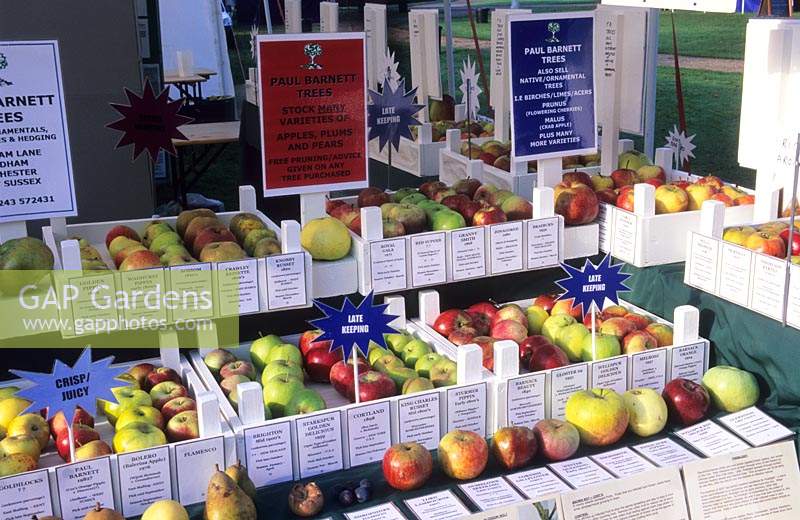 West Dean Sussex Apple day exhibition of Paul Barnett s fruit and trees