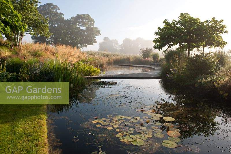pond informal contemporary garden designer design Julie Toll curved sinuous summer perennials ornamental grasses morning mist