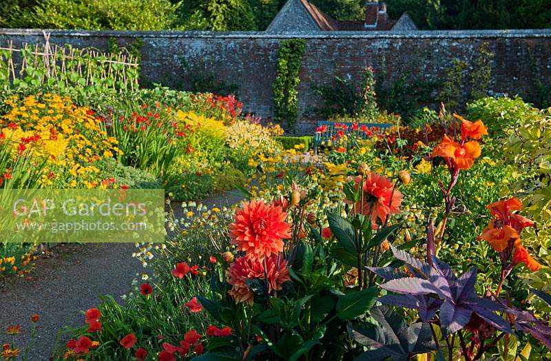 hot warm colour color borders view mixed summer border West Dean Sussex England walled garden July path formal focal point wood