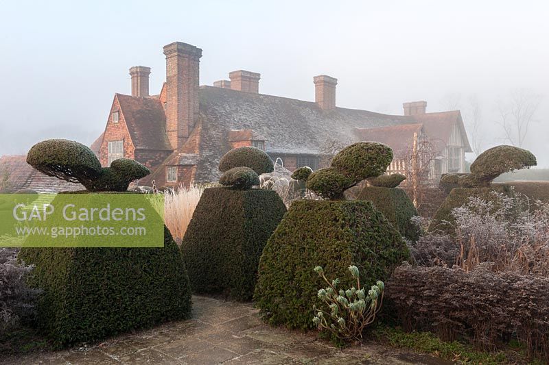 winter frost at Great Dixter