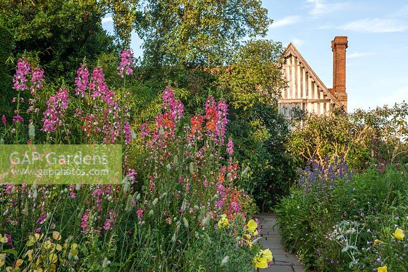 the Wall Garden at Great Dixter in July