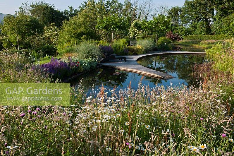 pond informal contemporary garden designer design Julie Toll Ian Kitson curved sinuous summer perennials ornamental grasses