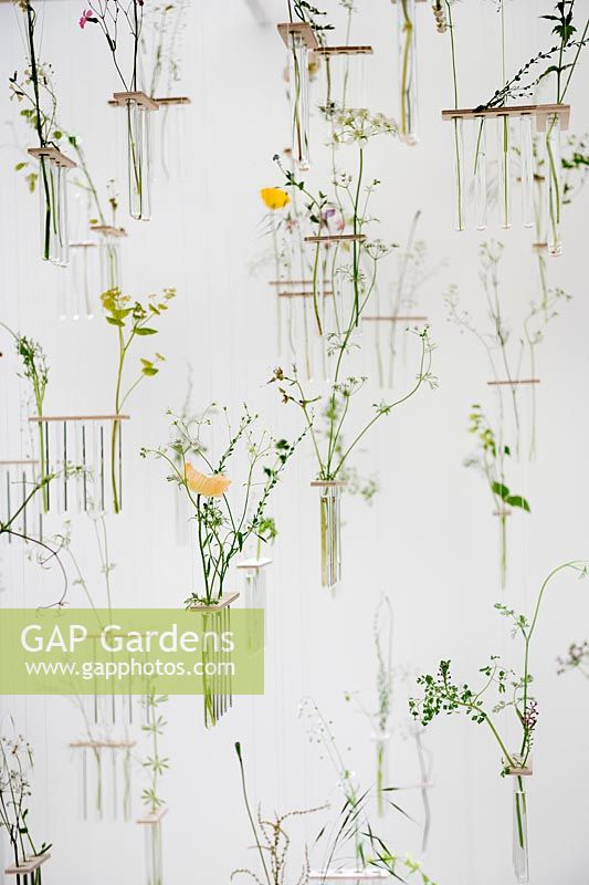'Come What May' art installation using hanging wild flowers in test tubes Design: Charlotte Smithson at RHS Chelsea Flower Show 2019