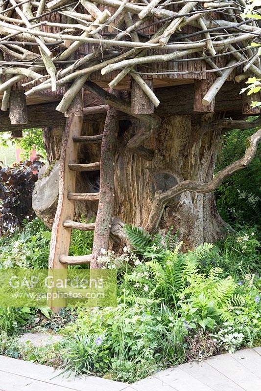 The RHS Back to Nature Garden  – wooden ladder made from tree slab leading up to children's tree house, under planted with ferns and shade loving plants - Designer: HRH The Duchess of Cambridge with Andree Davies and Adam White - Sponsor: The RHS 