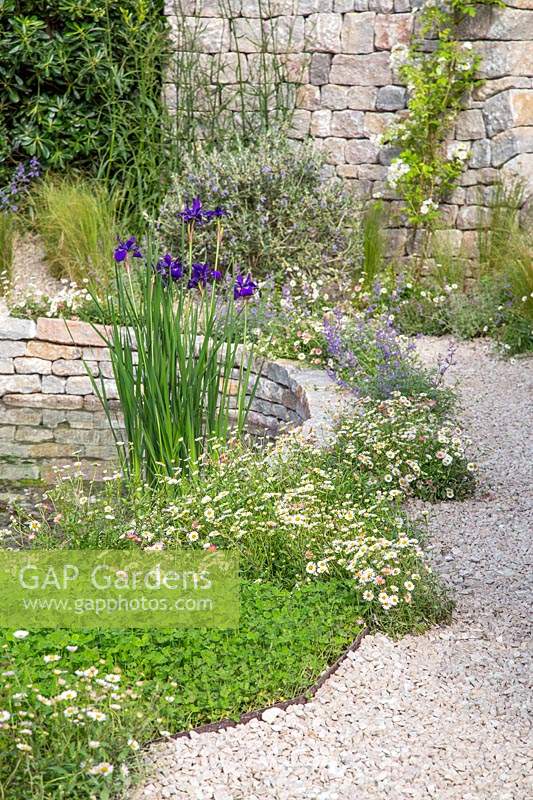 The Harmonious Garden of Life. Design: Laurélie de la Salle. Sponsor: Mr Robert and Mrs Sue Cawthorn, Margheriti Piante, Italy
