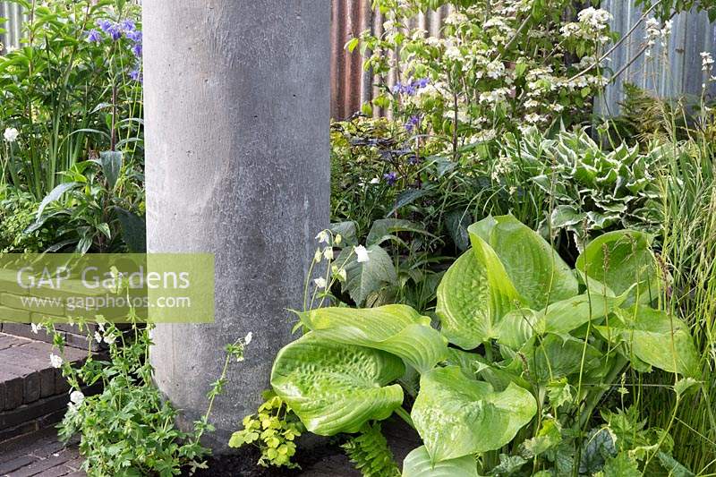 The Silent Pool Gin Garden, view of sunken garden with hostas against recycled concrete pillar, clay brick paving and corrugated metal fence – Designer: David Neale - Sponsor: Silent Pool Gin