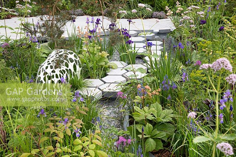 The Manchester Garden, view of sculptures and cottage garden planting, with hexagonal stepping stones over the pond, bordered by centranthus ruber 'Albus', rodgersia, Iris sibirica 'Persimmon, Iris sibirica 'Caeser's Brother', and Iris sibirica 'Harpswell Happiness' - Designer: Exterior Architecture, exteriorarchitecture.com. RHS Chelsea Flower Show 2019