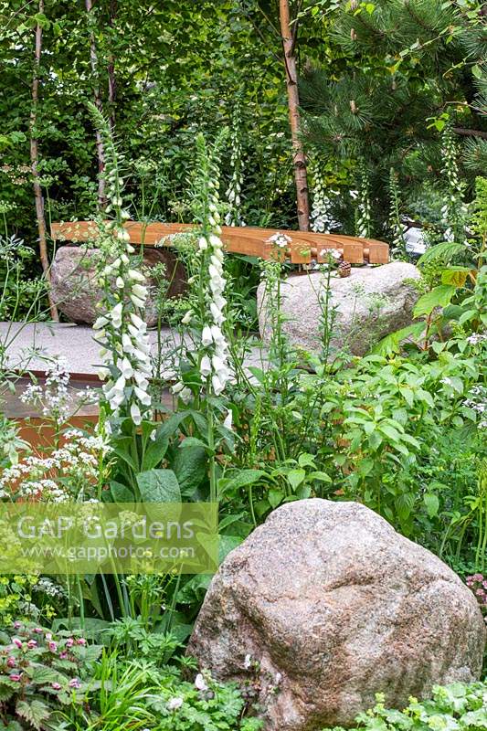 Family Monsters Garden - RHS Chelsea Flower Show 2019 - View over mixed border of planting to wood bench - Design: Alistair Bayford - Sponsor: idverde Family Action