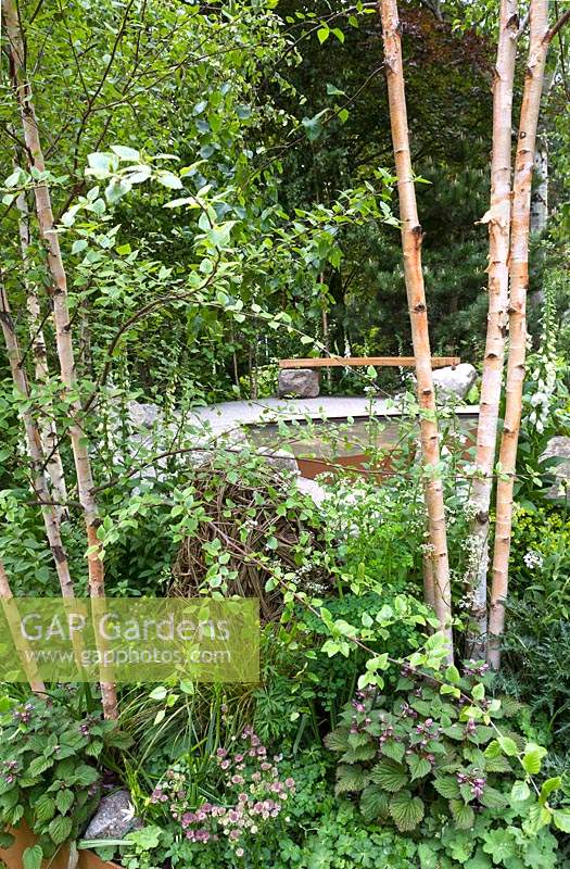 Woodland clearing with birch trees and pollinator-friendly planting in the Family Monsters Garden at RHS Chelsea Flower Show 2019. Artisan Gardens, Design: Alistair Bayford, Sponsor: idverde Family Action