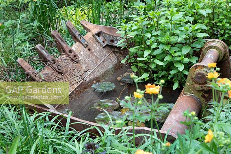 Walker's Forgotten Quarry Garden, metal digger bucket used to make an ingenious small pond. Design: Graham Bodle. Sponsor: Walkers Nurseries