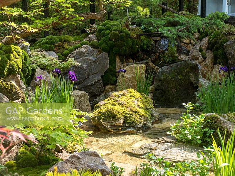 The Green Switch garden. The large shallow water feature with moss covered rocks planted with Blue Iris and surrounded by Acer Palmatum and Bonsai trees..  Large green balls of Moss provide the backdrop. Design:  Kazuyuki Ishihara. Sponsor: G-Lion