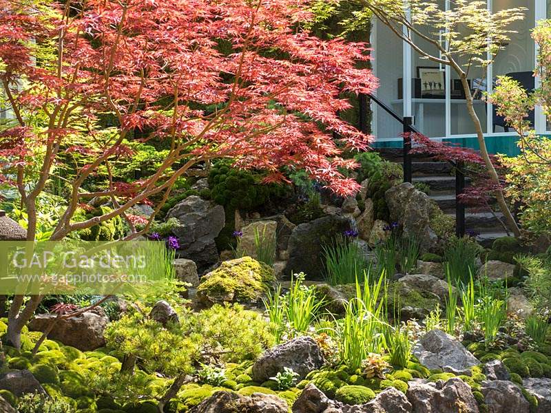 The Green Switch garden. The large shallow water feature with moss covered rocks planted with Blue Iris and surrounded by Acer Palmatum and Bonsai trees is overlooked by the garden studio.  Large green balls of Moss provide the backdrop. Design: Kazuyuki Ishihara. Sponsor: G Lion