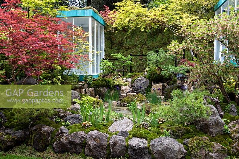 The Green Switch Garden. A Japanese garden with a Sedum roof structure overlooking waterfalls tumbling into a pond, surrounded by Acers, pines, ferns and mosses. Awarded an RHS Gold Medal. Design: Kazuyuki Ishihara. Sponsor: G Lion.