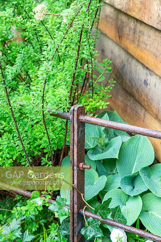 Rusty country fence. The High Maintenance Garden for MND Association. Designer: Sue Hayward. Sponsor: MND Association.