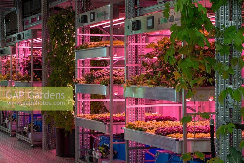 Gardening will save the World, RHS Chelsea Flower Show 2019, Design: Tom Dixon, Sponsor: Ikea - Hydroponic base garden