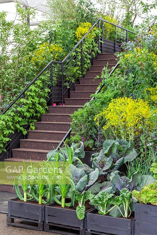 Stairs from base garden level to raised garden, boxes with vegetables growing either side of railings - Gardening Will Save The World, RHS Chelsea Flower Show 2019, Design: Tom Dixon, Sponsor: Ikea