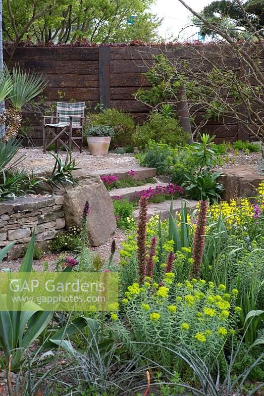 The Resilience Garden at RHS Chelsea Flower Show 2019 - a mixed border with planting including Lupins