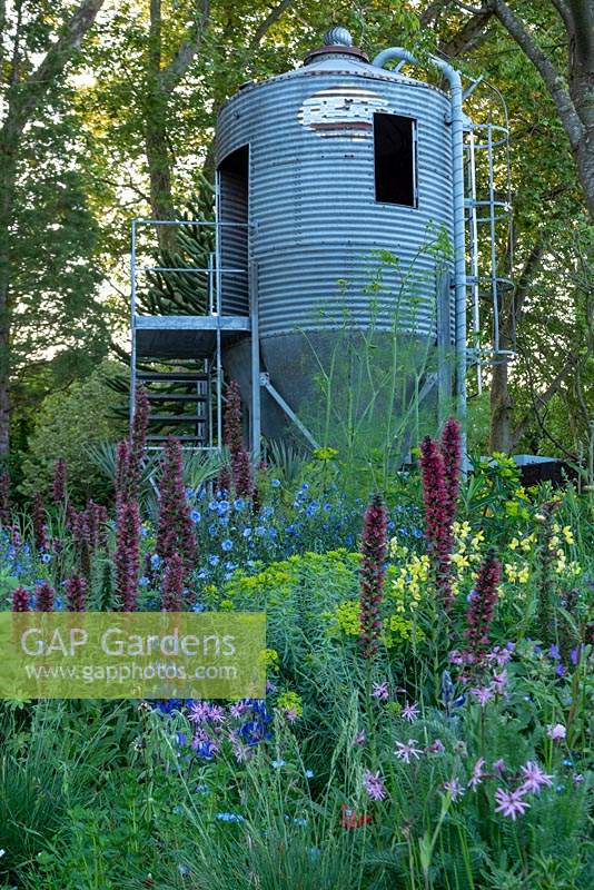 The Resilience Garden at RHS Chelsea Flower Show 2019. Looking over Echium russicum also know as red-flowered viper's grass,  Flax -  Linum usitatissimum and Euphorbia seguieriana subsp. niciciana to the old grain hopper.   Designer: Sarah Eberle. Sponsors Gravetye Manor Hotel and Restaurant, Kingscot Estate, Forestry Commission, Department for Environment, Food and Rural Affairs, Royal Botanic Gardens, Kew,Scottish Forestry, Scottish Government, Welsh Government